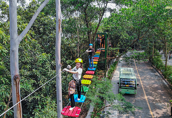 观音山旅游风景区第 191 张图片