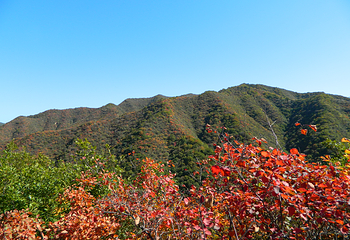 翠枫山自然风景区第 15 张图片