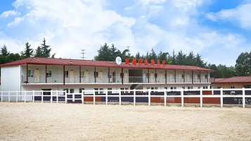 成都伊威斯马术