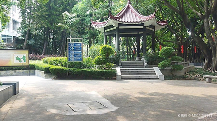 醉观公园第 1 张图片