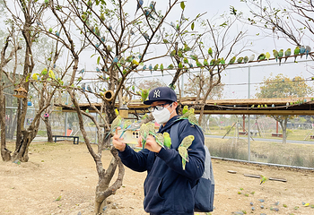 岭南大地百草园第 87 张图片