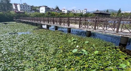 泰丰园第 3 张图片