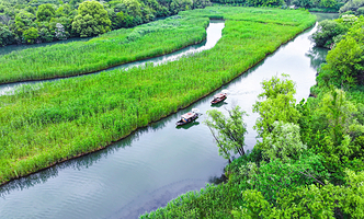 西溪国家湿地公园