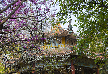 东湖生态旅游风景区第 70 张图片