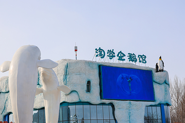 哈尔滨极地公园第 63 张图片