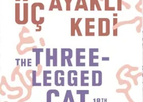 2025 第18届伊斯坦布尔双年展