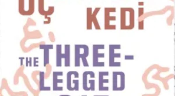 2025 第18届伊斯坦布尔双年展