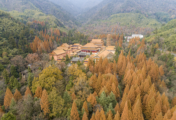 天目山自然保护区第 20 张图片