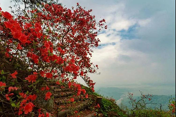云居之巅第 10 张图片