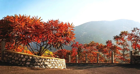 迁西县吉祥凤凰山第 50 张图片