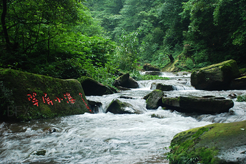 碧峰峡景区第 77 张图片