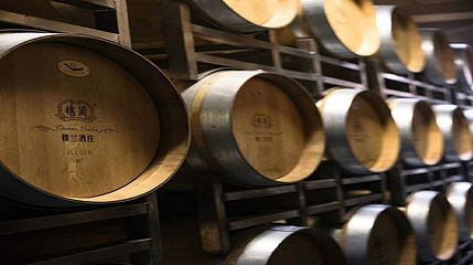 楼兰酒庄第 26 张图片