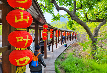 山叶口景区第 2 张图片
