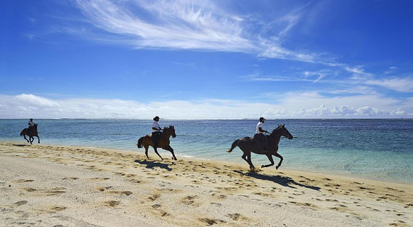 莫纳山骑马体验