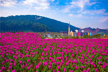 萍乡凯光新天地生态旅游区第 25 张图片