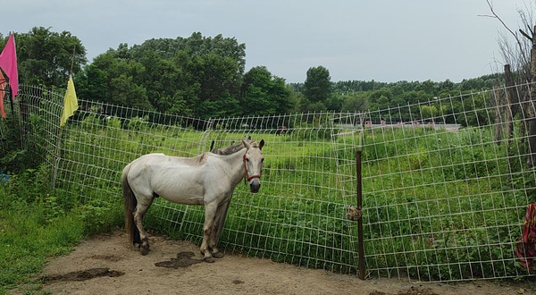 沈阳牡丹园棋盘山马术俱乐部