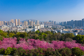 圆通山第 2 张图片