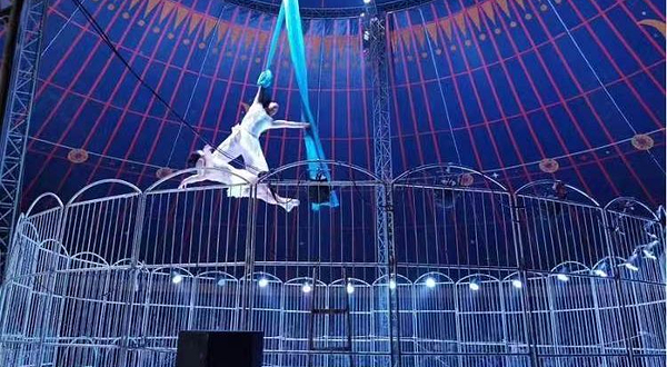 赛汗塔拉皇家大马戏