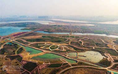 龙湖湿地第 7 张图片