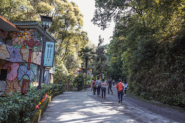 经律论文化旅游小镇第 43 张图片