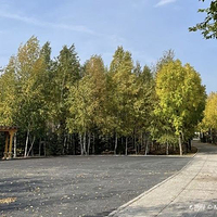 绥化市森林植物园