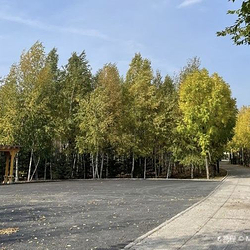 绥化市森林植物园