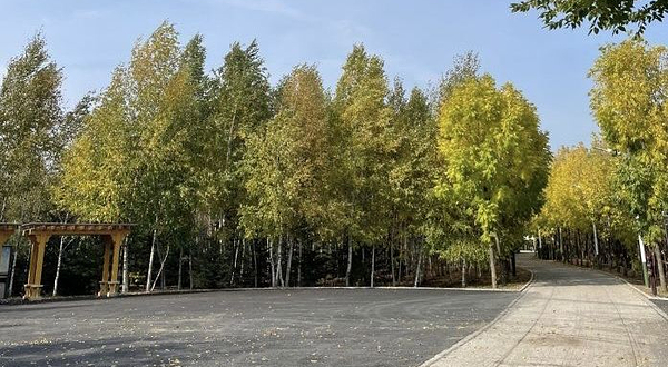 绥化市森林植物园