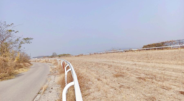 济南国际赛马场