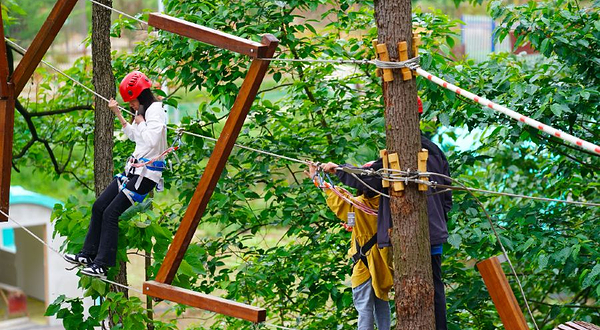 扉所野居·丛林乐园