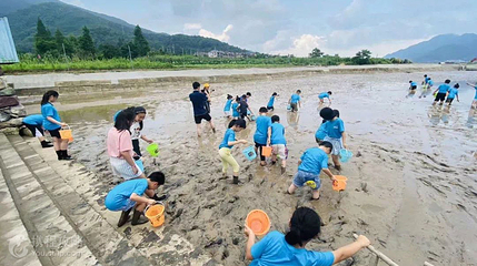 蟹钳港海花里滩玩中心第 4 张图片