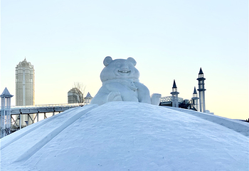 哈尔滨外滩雪人码头第 41 张图片