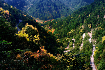 四面山第 43 张图片