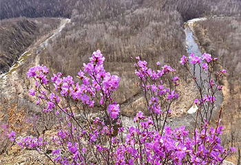 锦河大峡谷第 22 张图片