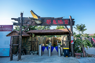 鳄珍鳄鱼园第 9 张图片