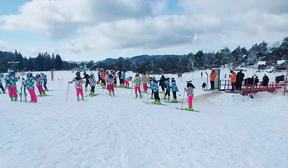 椿木营滑雪场第 20 张图片