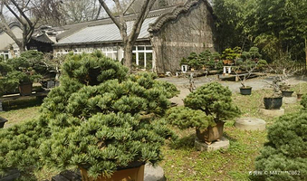 扬州三把刀文化体验区