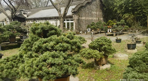 扬州三把刀文化体验区