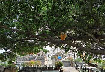 胡里山炮台第 63 张图片