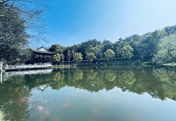 景德镇陶源谷·三宝旅游度假区第 14 张图片