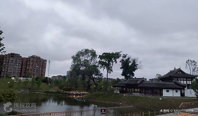 空港中央公园第 4 张图片