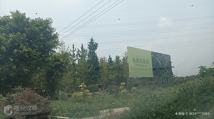 海蒂的花园(彭镇基地)第 2 张图片