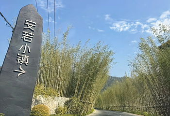 安若小镇第 18 张图片