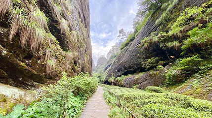 武夷山岩骨花香慢游道第 1 张图片