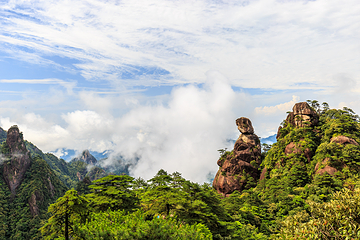 三清山风景区第 319 张图片