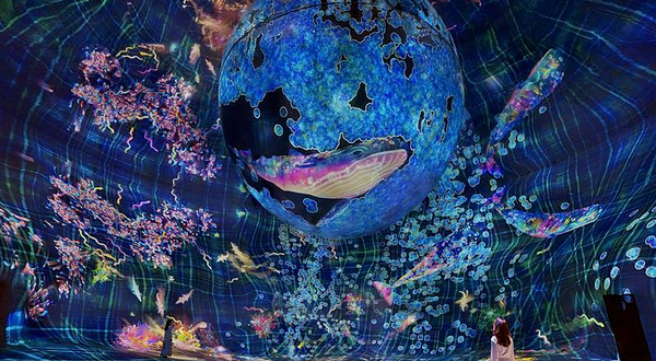 teamLab现象阿布扎比