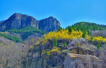 齐山风景区第 3 张图片