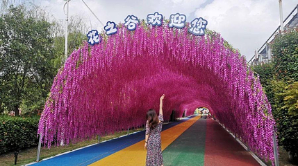 花之谷运动探险乐园第 1 张图片
