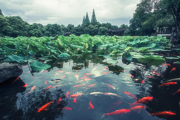 南浔古镇第 165 张图片