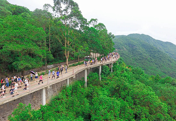 观音山旅游风景区第 184 张图片