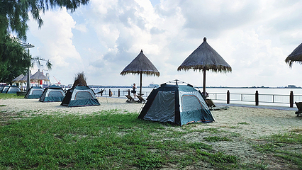 北海金海湾红树林生态旅游区第 27 张图片